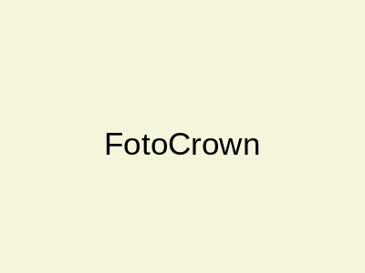 FotoCrown Sunflower Building Lahore